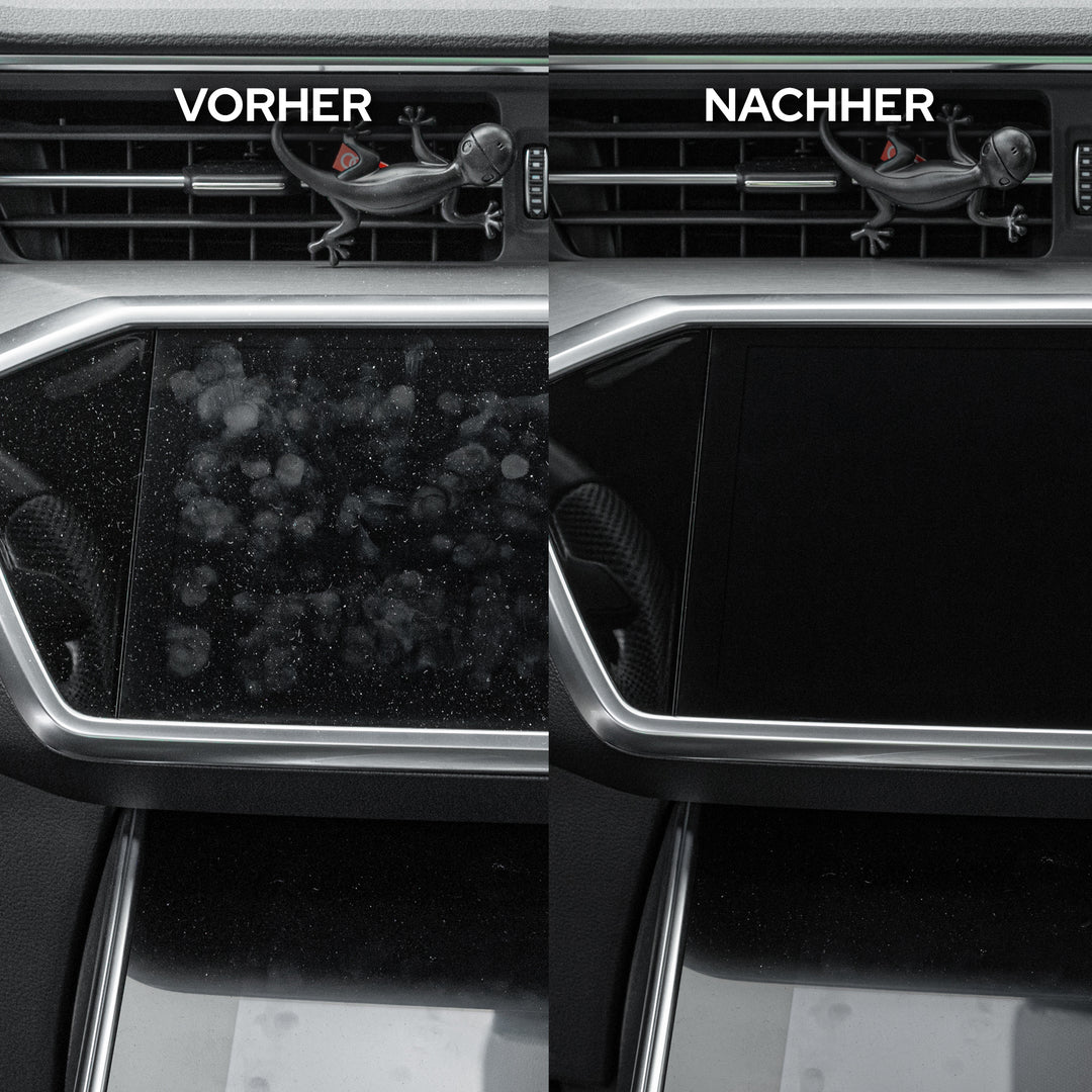 Auto Innenraum + Leder Reiniger & Pflege Set