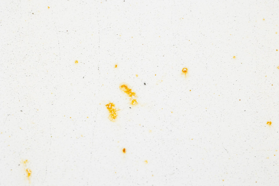 Orange Flugrostpunkte und kleine Flugrostnester auf weißem Fahrzeuglack vor der Anwendung des KULT Flugrost Entferners