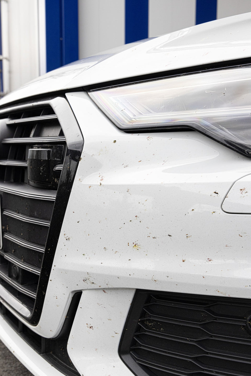 Insektenreste unter dem Scheinwerfer eines weißen Audi A6