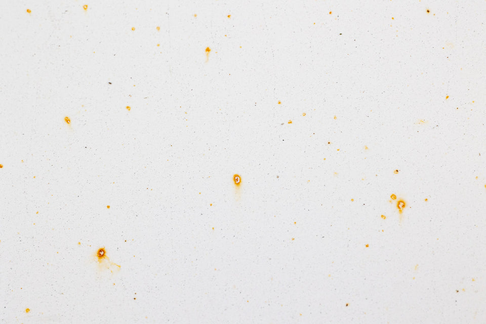 Weißer Fahrzeuglack mit orangefarbenen Flugrostpunkten und einem kleinen Flugrostnest vor der Anwendung des KULT Flugrost Entferners