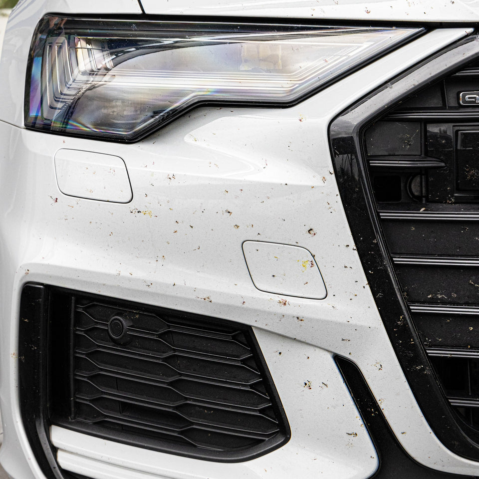 Weißer Stoßfänger eines Audi A6 mit vielen Insektenresten vor der Reinigung