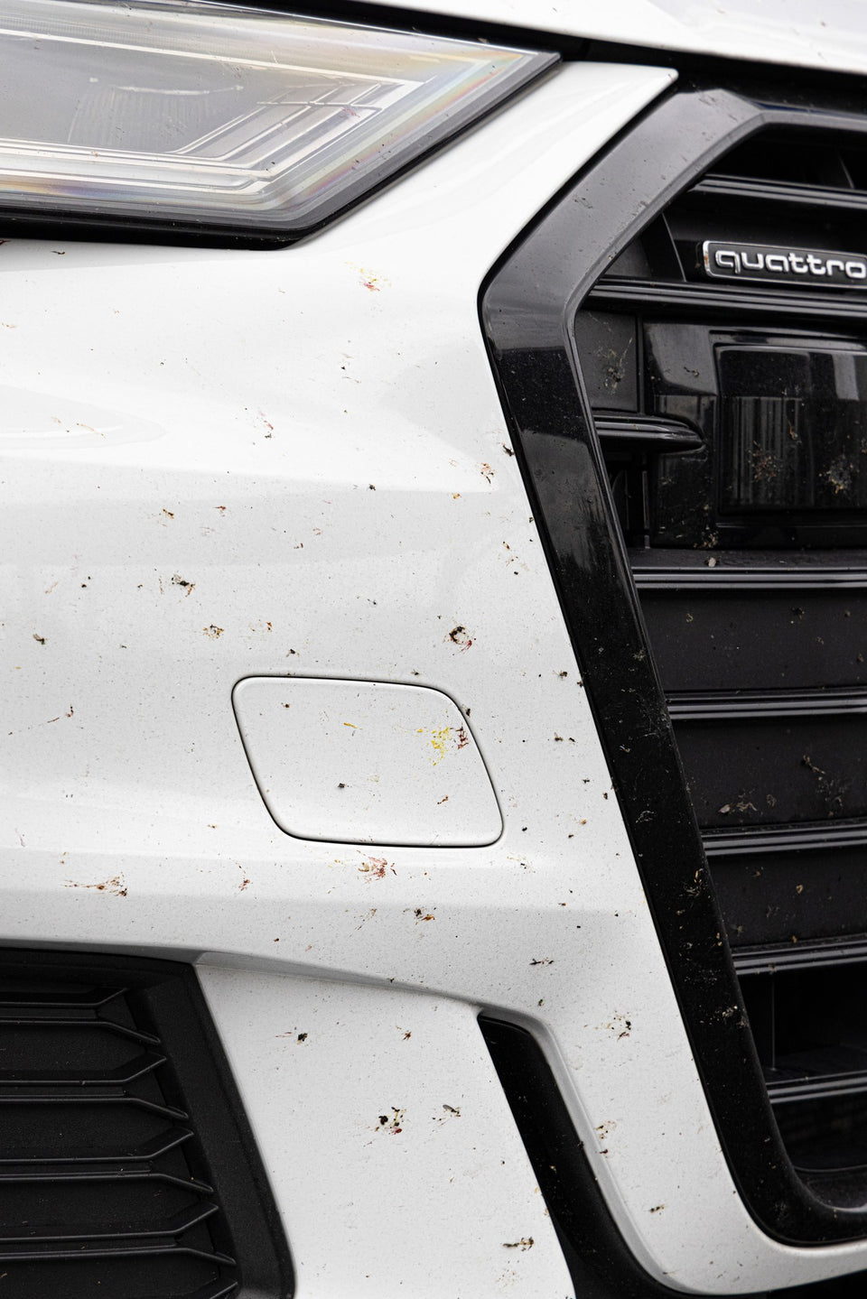 Insektenreste auf dem weißen Stoßfänger und am Kühlergrill eines Audi A6